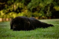 /album/fotogalerij1/marielle-12-jpg/